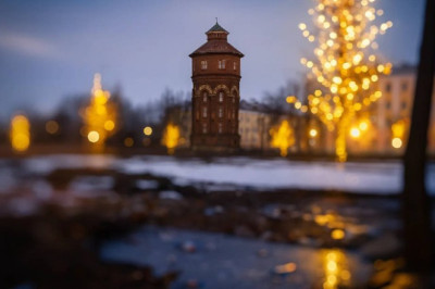 Бабкозавр в Новороссии-5