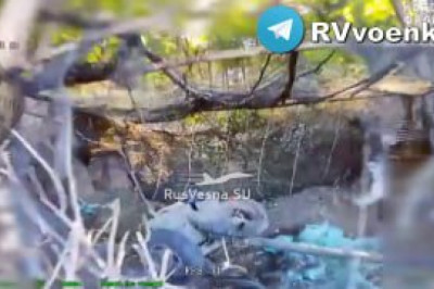 Спецназ «Анвар» охотится на гаубицы и пункты управления БПЛА врага, поддерживая наступление на Сумы