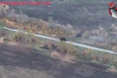 Армия России отразила контратаку ВСУ у Купянска