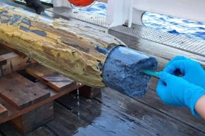 Ученые нашли признаки жизни в среде, где выживание казалось невозможным