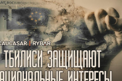 Грузинский ответ Брюсселю
