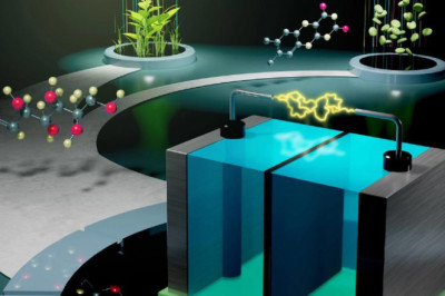 Биотопливная батарея из глюкозы и витамина B2 спасет мировую энергетику