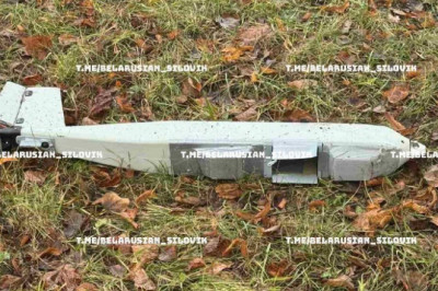 В Беларуси упал дрон, залетевший из Литвы  В связи с инцидентом в белорусский МИД был вызван временный поверенный в делах Литвы в Минсе Эрикас Вилканецас