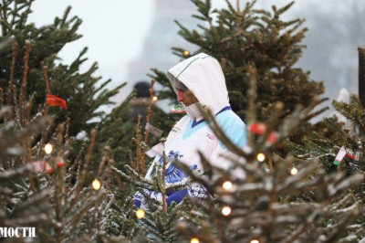 Импорт живых новогодних елок снижается – не более 150 тыс