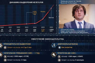 В Грузии наводят порядоквыдворяя нелегалов