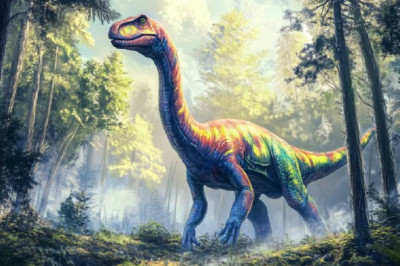 Некоторые динозавры могли быть яркими, как птицы?