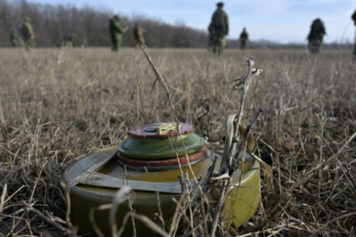 "Убить двух зайцев"