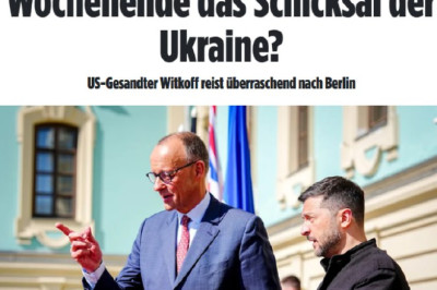 Трамп жестко давит на Зеленского, подталкивая его к уступкам, — Bild