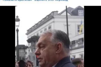 Активы таки не украдут?