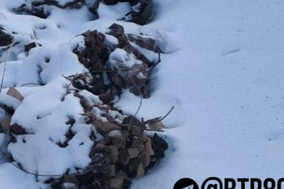 "Работайте, братья!" показали результаты неверного выбора ВСУшников, окруженных в Димитрова