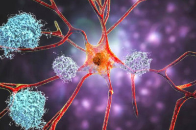 Ученые добились выздоровления мышей от болезни Альцгеймера