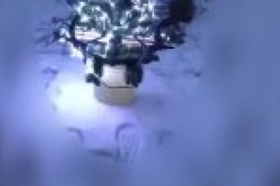 Наши бойцы отправили ВСУшникам особенную ёлку в Новым годом