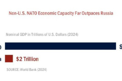 Кошка бросила котятО новой стратегии военного министерства США