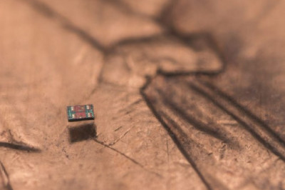 Учёные создали автономных роботов меньше крупинки соли