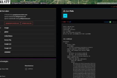 Ваш паспорт для ChatGPT проходит через систему, которая отправляет отчёты в казначейство США