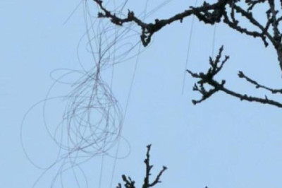 Спецназ "Анвар" начал охоту на врага в Харькове!  Смотреть видео со звуком