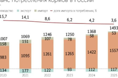 Экспорт российских кормов для домашних животных достиг рекорда в 2025 году