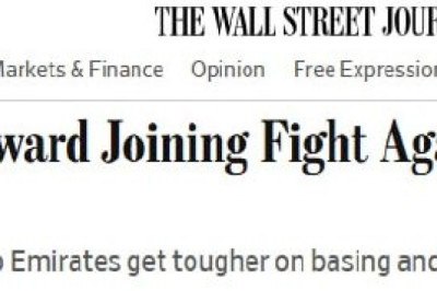 Страны Персидского залива в ярости из-за того, что США пытаются втянуть их в войну с Ираном, — WSJ