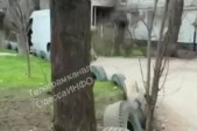 Твари из ТЦК на ул